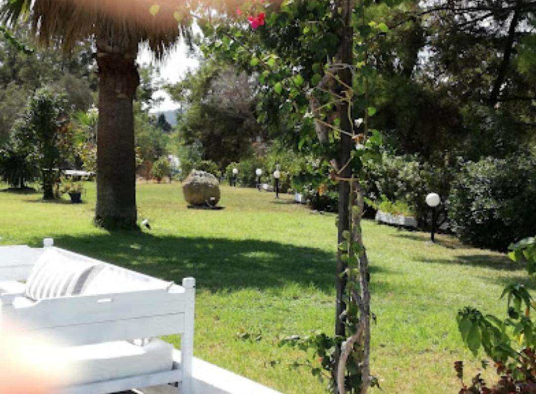 יאליסוס Trees Art Hotel מראה חיצוני תמונה