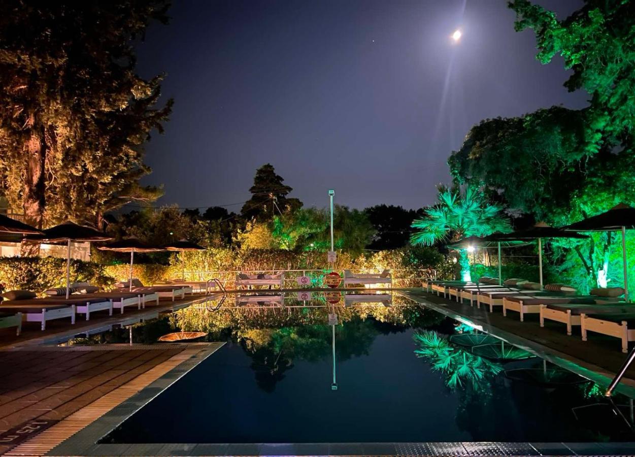 יאליסוס Trees Art Hotel מראה חיצוני תמונה
