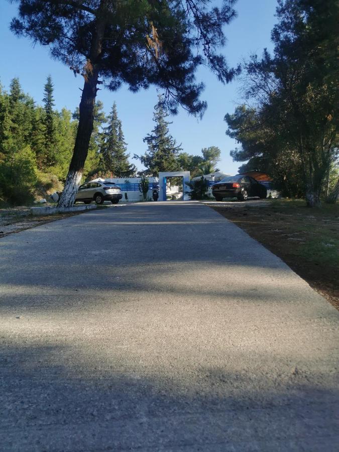 יאליסוס Trees Art Hotel מראה חיצוני תמונה